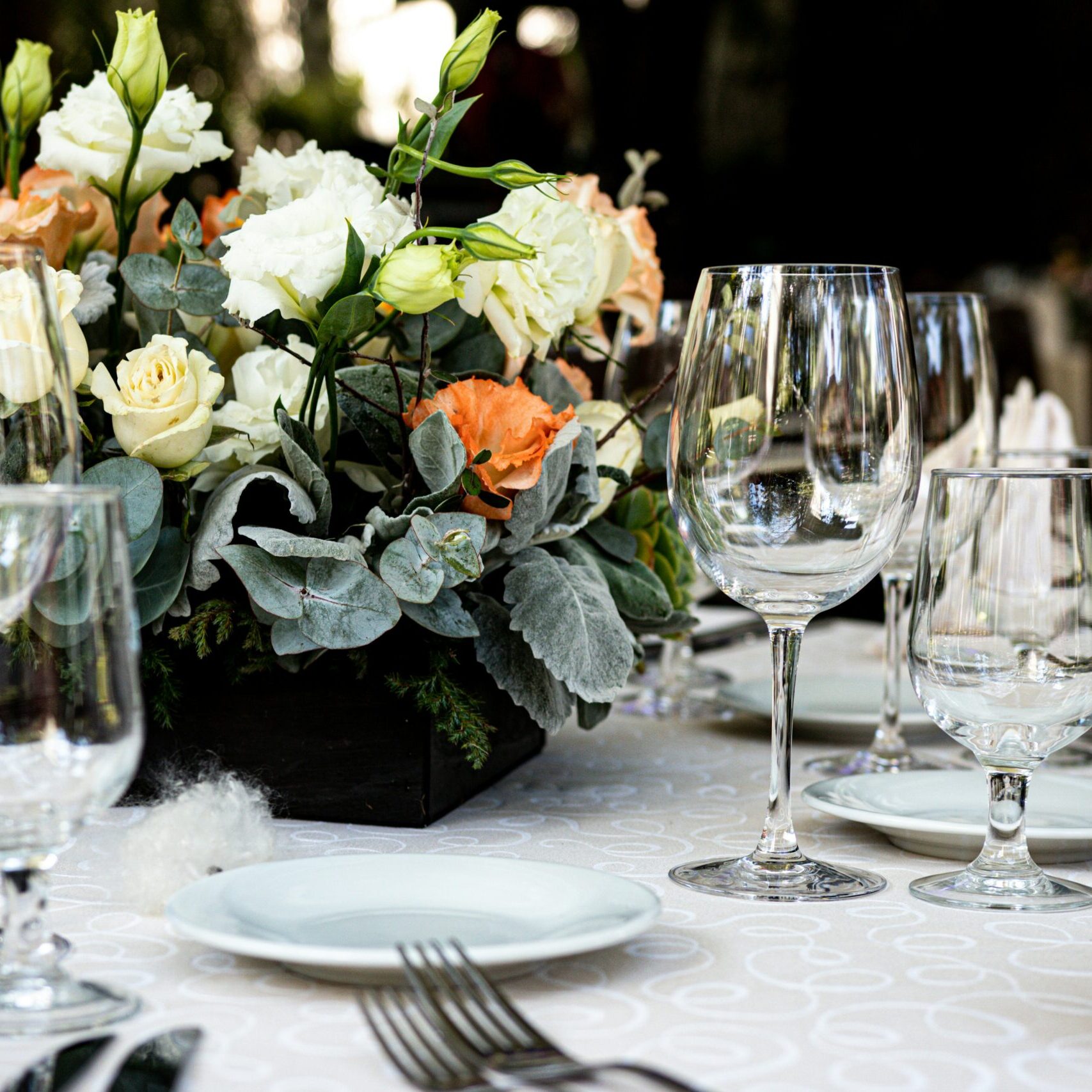 camara negra sif1ttkabve unsplash